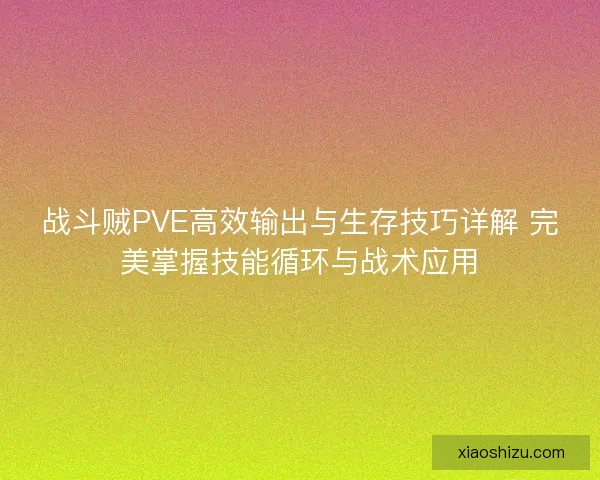 战斗贼PVE高效输出与生存技巧详解 完美掌握技能循环与战术应用