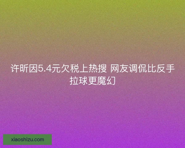 许昕因5.4元欠税上热搜 网友调侃比反手拉球更魔幻