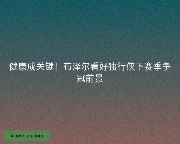 健康成关键!布泽尔看好独行侠下赛季争冠前景 健康成关键!布泽尔看好独行侠下赛季争冠前景