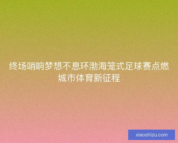 终场哨响梦想不息环渤海笼式足球赛点燃城市体育新征程 终场哨响梦想不息环渤海笼式足球赛点燃城市体育新征程