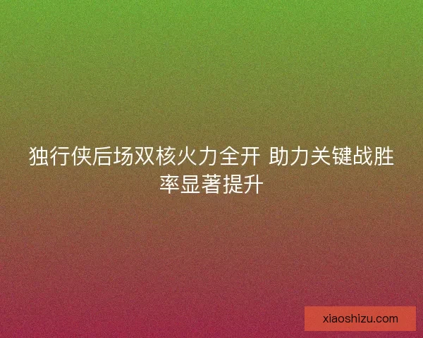独行侠后场双核火力全开 助力关键战胜率显著提升 独行侠后场双核火力全开 助力关键战胜率显著提升
