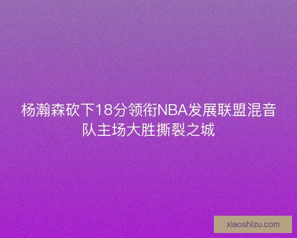 杨瀚森砍下18分领衔NBA发展联盟混音队主场大胜撕裂之城