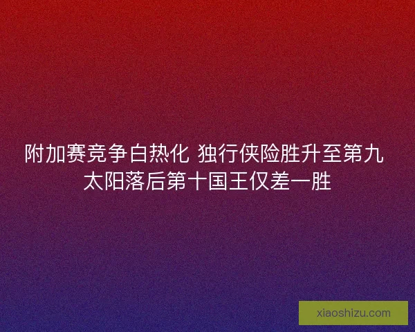 附加赛竞争白热化 独行侠险胜升至第九 太阳落后第十国王仅差一胜